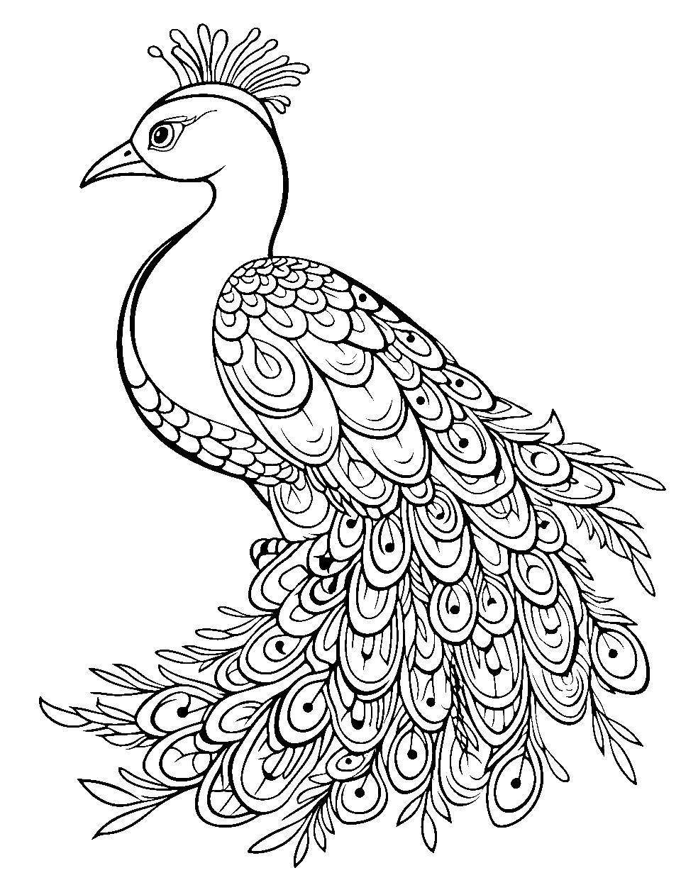 Bird coloring pages free printable sheets