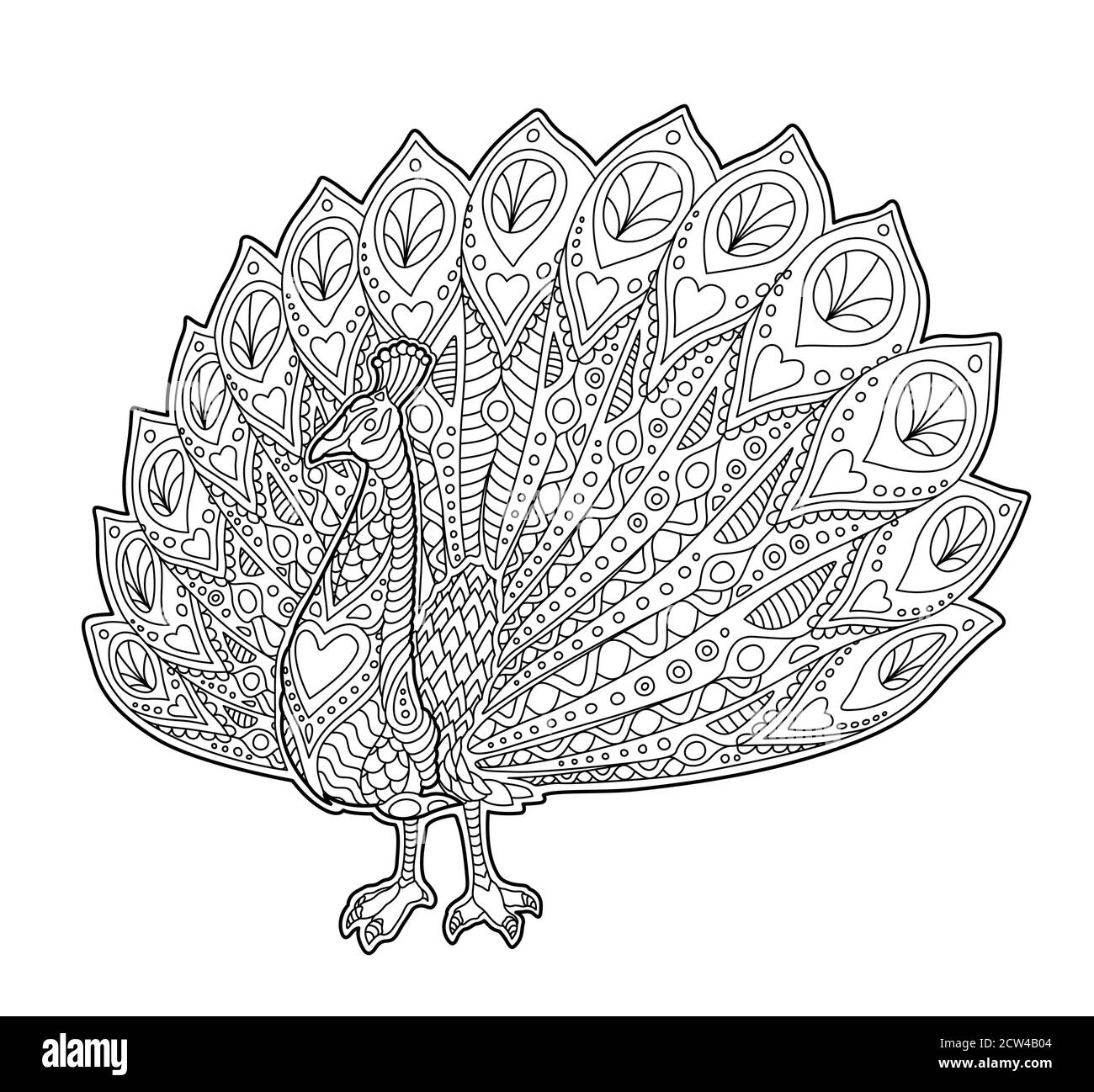 Coloring book adult peacock hi