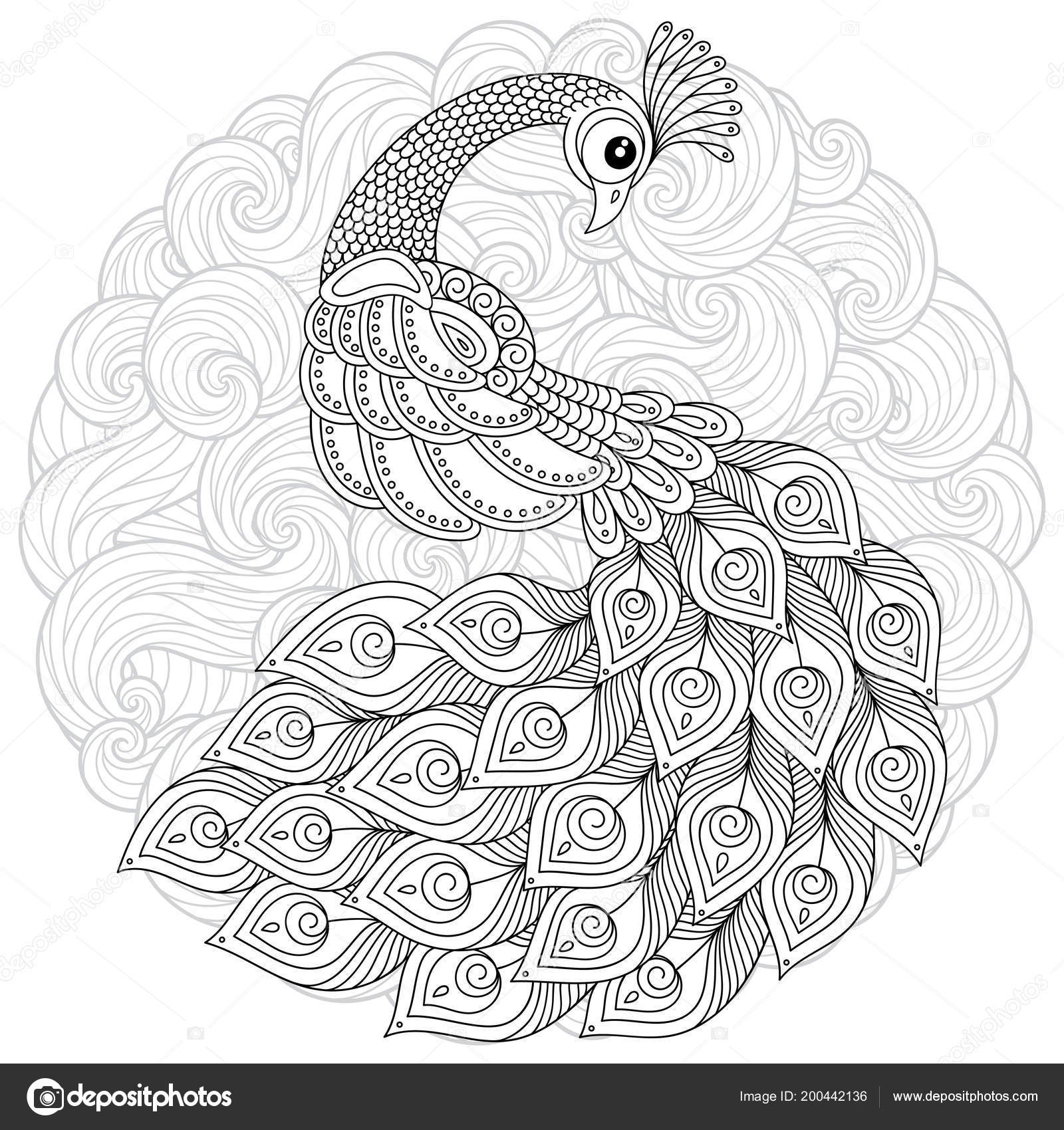 Hand drawn peacock stress coloring page high details isolated white stock vector by karpenyuk