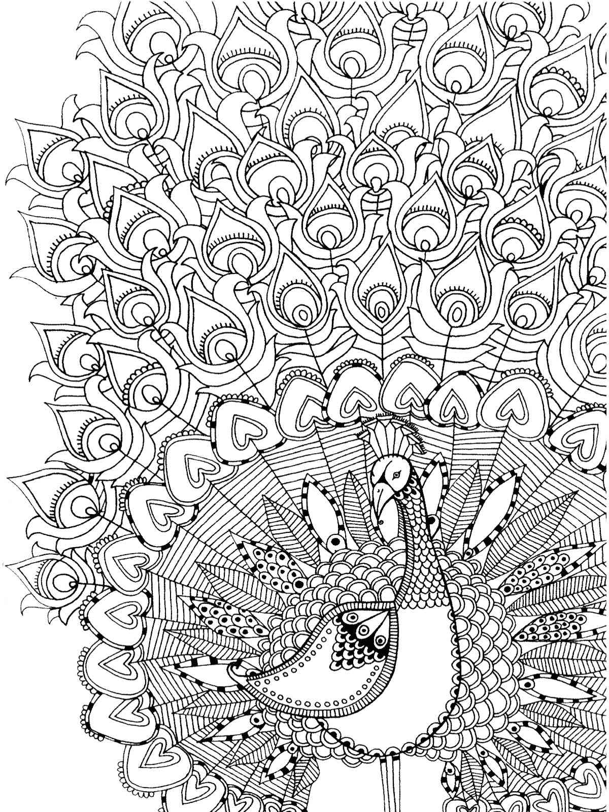 Peacock coloring pages for adults