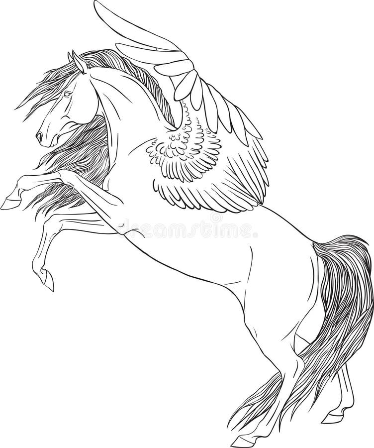 Coloring page with a pegasus stock vector