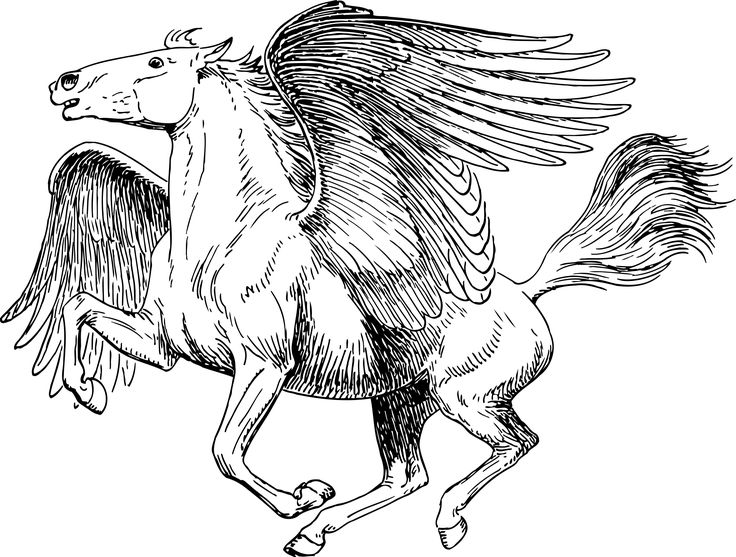 Magical pegasus coloring pages