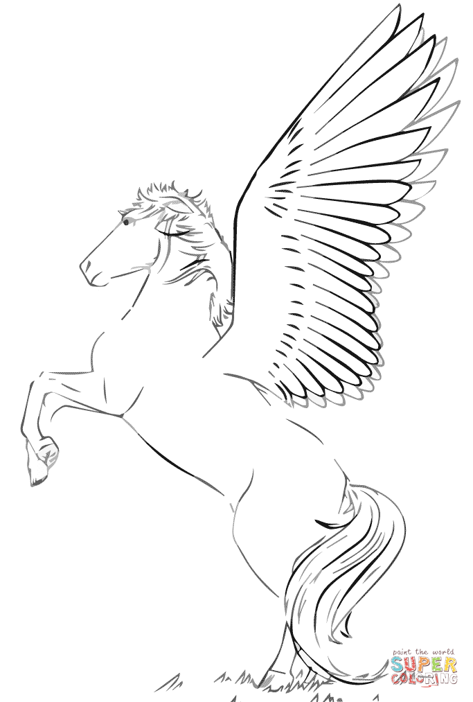 Rearing pegasus coloring page free printable coloring pages