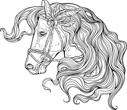 Horse coloring page images â browse photos vectors and video