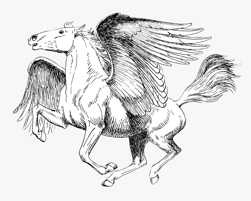 Pegasus black and white drawing