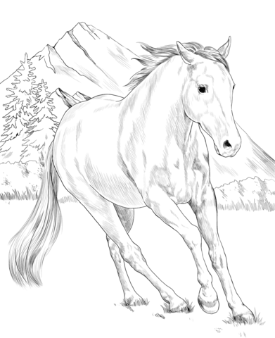 American paint horse coloring page free printable coloring pages