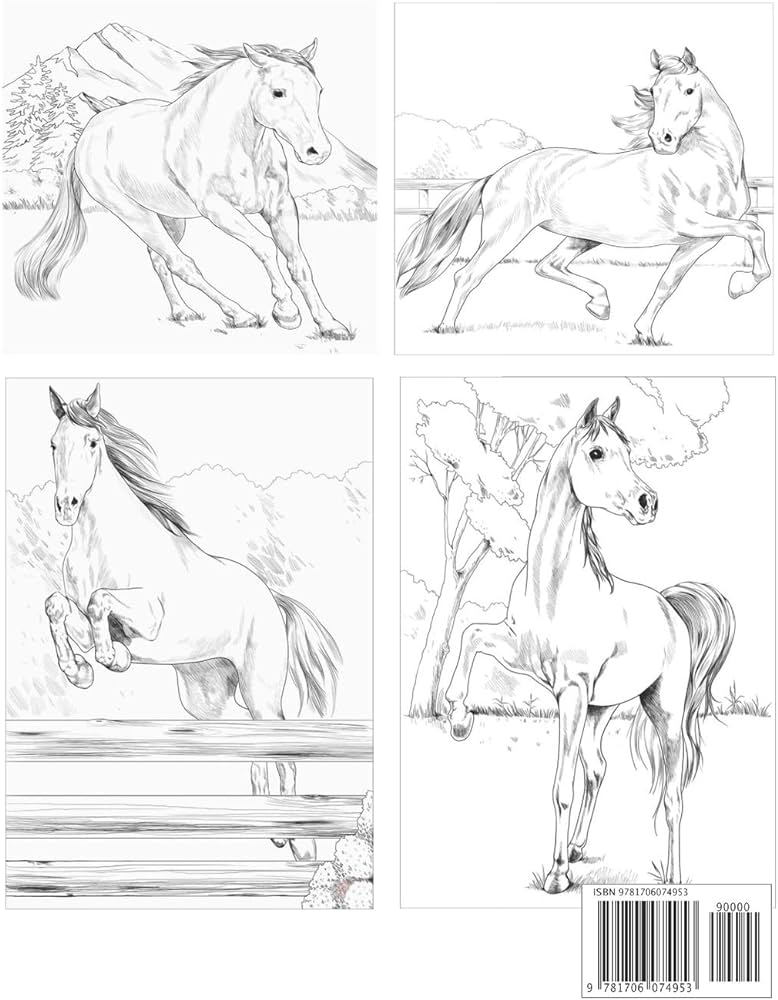 Realistic horse coloring book wonderful world of horses coloring book an adult coloring book for horse lovers big book of horses to color horse relaxation horse coloring books for adults