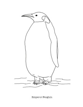 Emperor penguin coloring page by mama draw it tpt