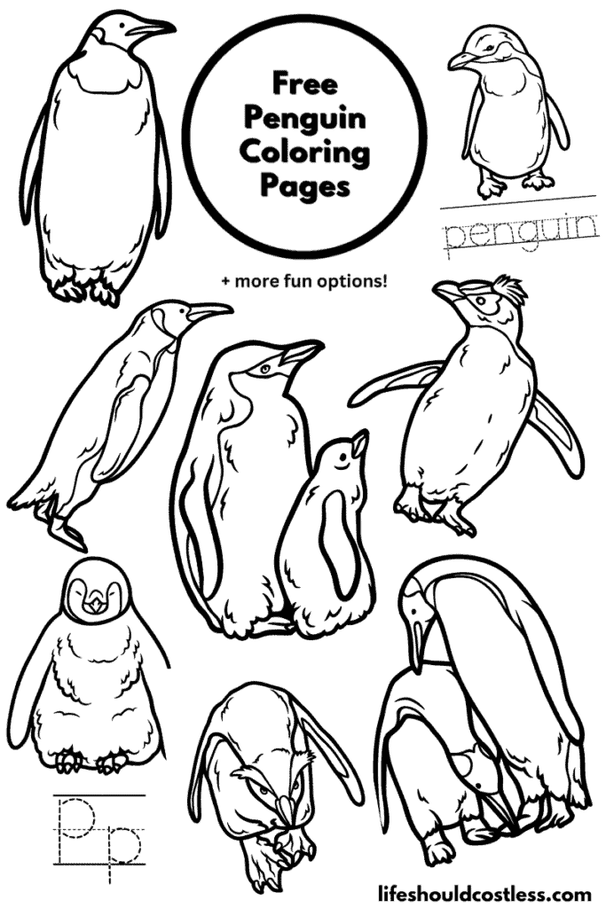 Penguin coloring pages free printable pdf templates