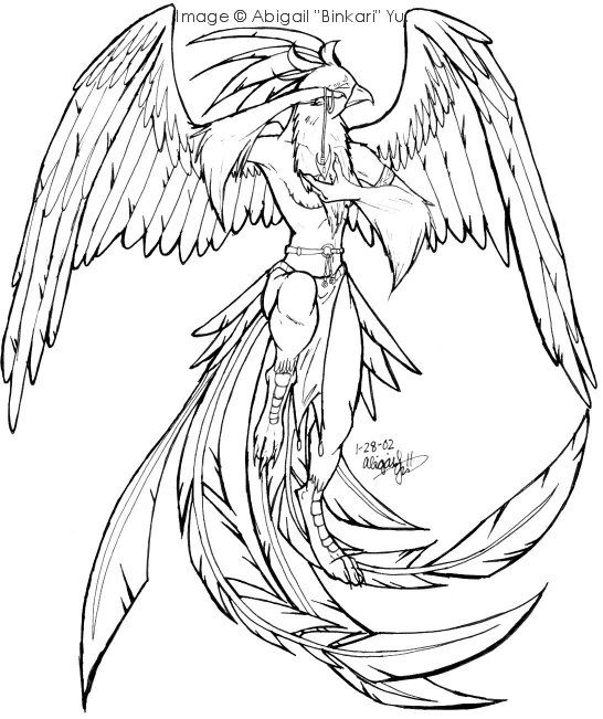 Phoenix coloring pages bird drawings phoenix drawing coloring pages