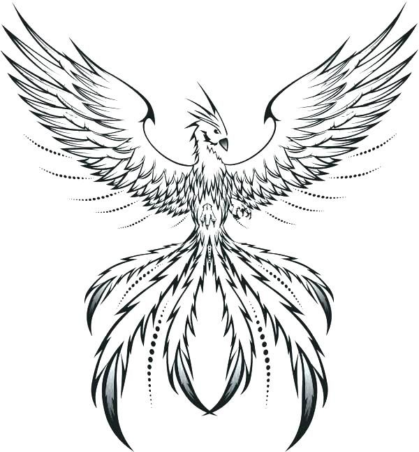 Full coloring pages phoenix coloring pages phoenix coloring pages phoenix bird tattoos phoenix tattoo design phoenix tattoo