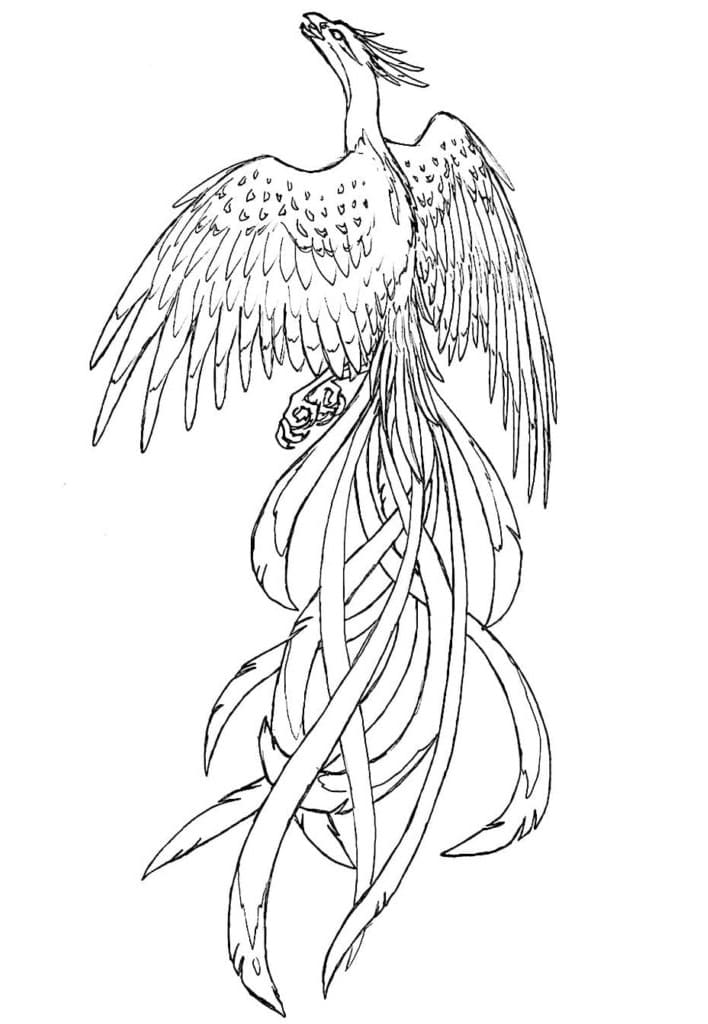 Digital phoenix coloring page