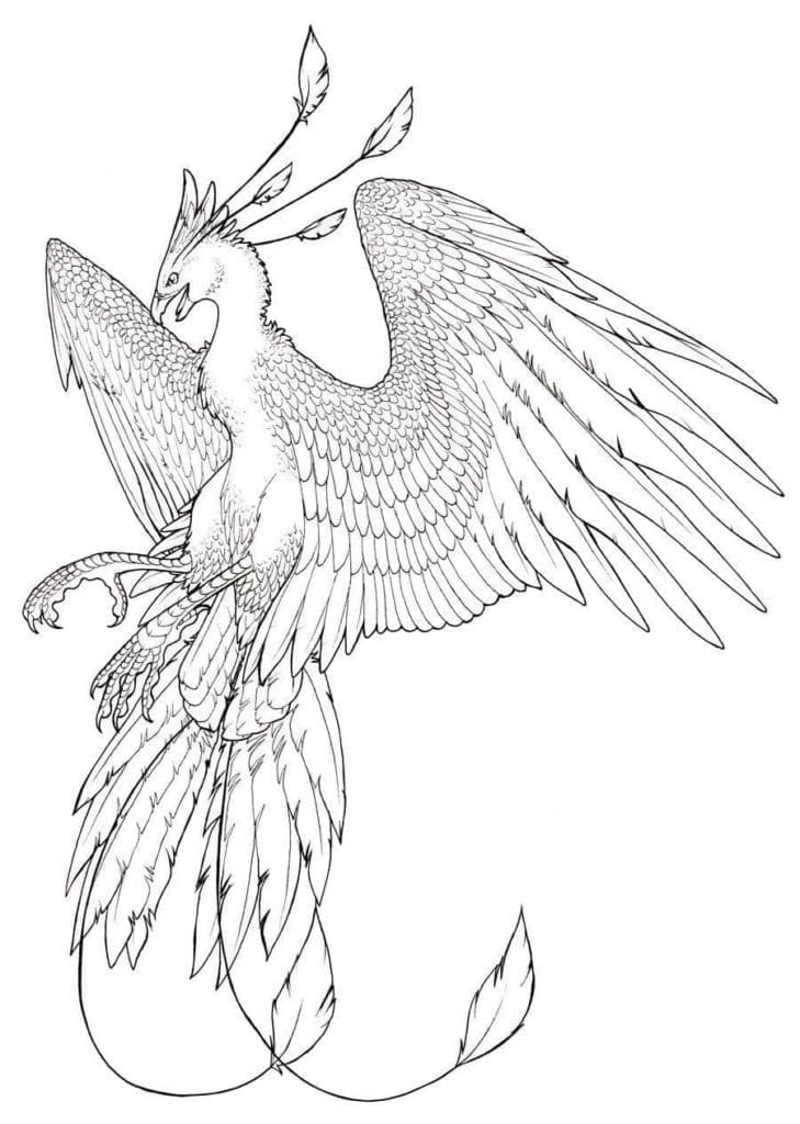 Fantasy phoenix coloring page