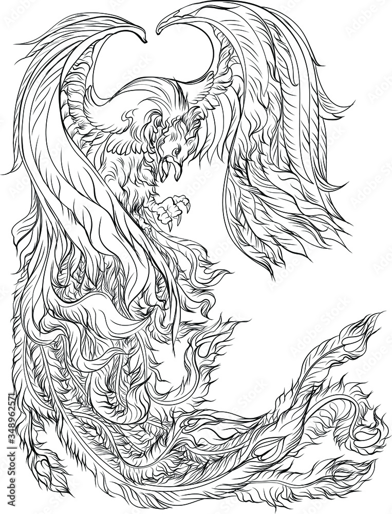 Vektorovã grafika âphoenix fire bird illustration and character designhand drawn phoenix tattoo japanese and chinese stylelegend of the firebird is russian fairy tales and it is creature from slavic folkloreâ ze sluåby