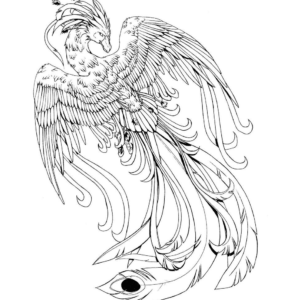 Phoenix coloring pages printable for free download