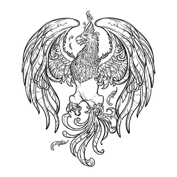 Flaming phoenix tattoo drawings stock illustrations royalty