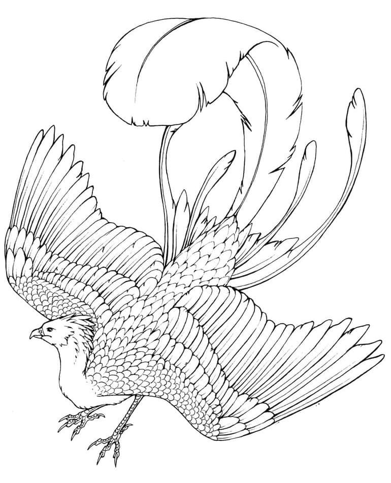 Digital gryphon coloring page