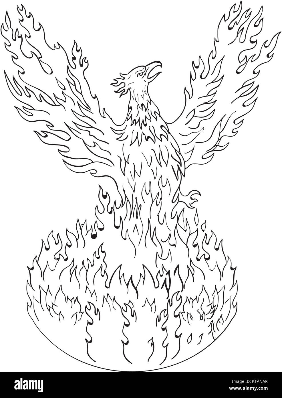 Phoenix rising fiery flames black and white drawing stock photo