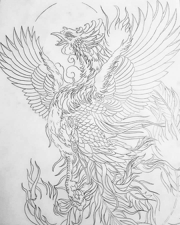 Bangkok tattoo studio thailand on x artwork project japanese thailand design drawing a legendary a phoenix bird progress of the drawing sketch in progress black grey or