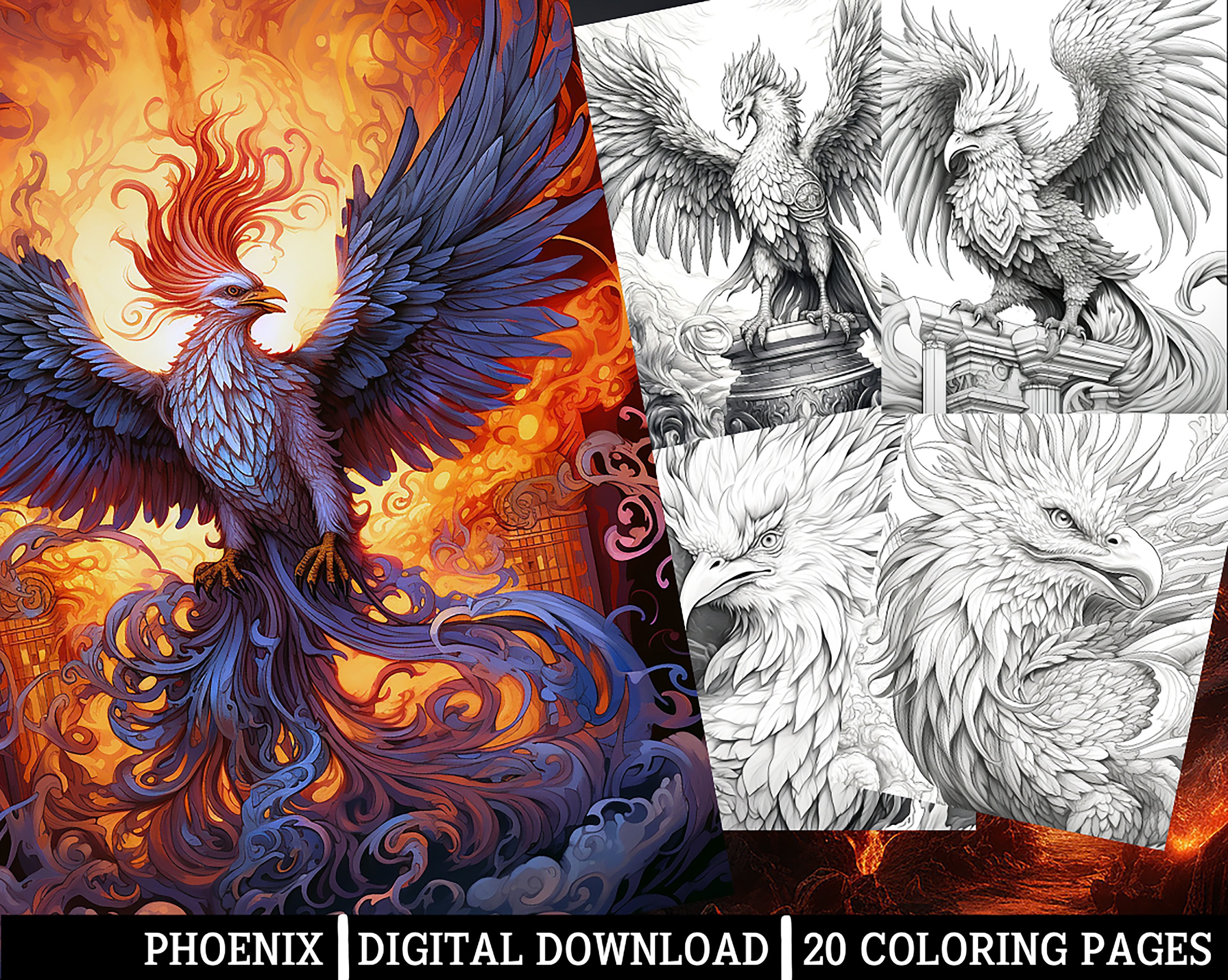 Phoenix coloring pagesfor adults instant download grayscale coloring page printable pngjpeg coloring for adults fantasy coloring art