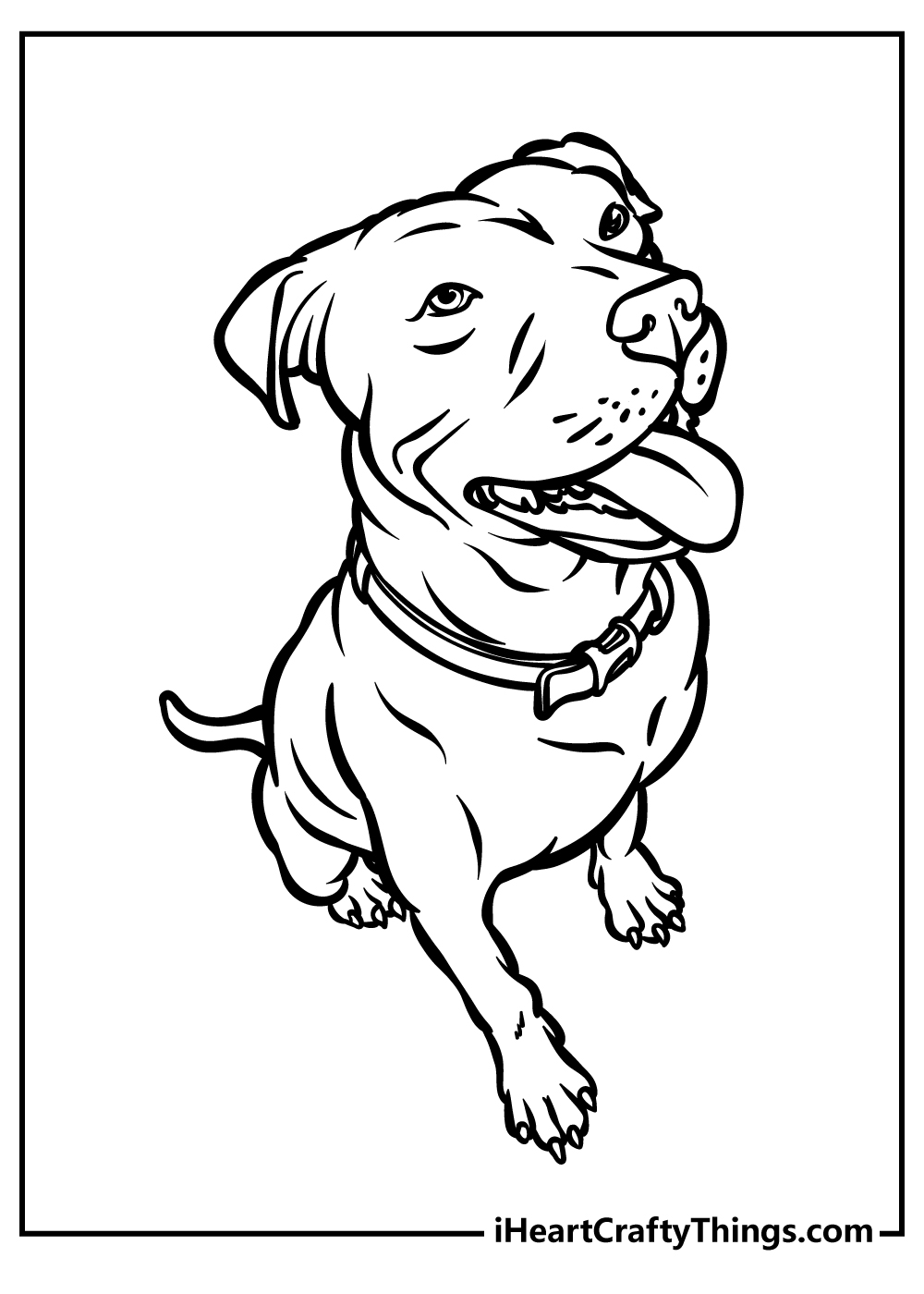 Pitbull coloring pages free printables