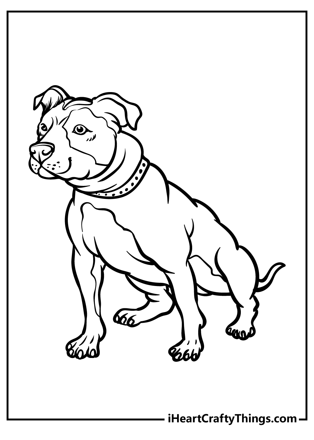 Pitbull coloring pages free printables