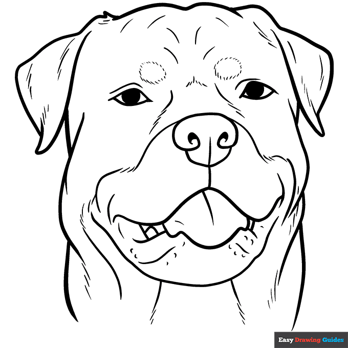 Free printable dog coloring pages for kids