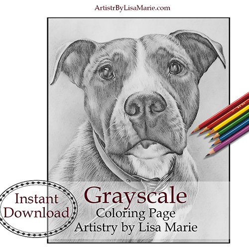 Pit bull portrait dog coloring book page â artistry by lisa marie