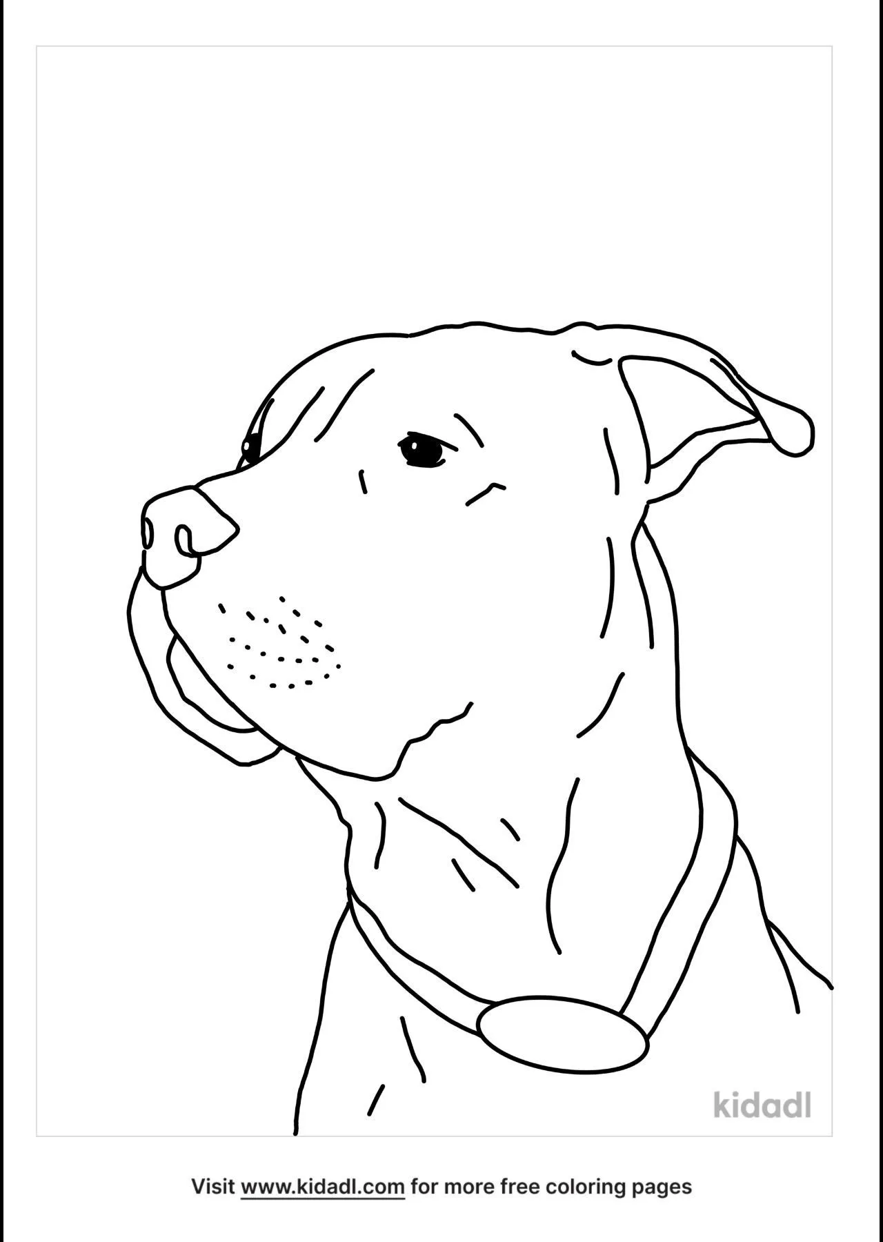 Free realistic pitbull coloring page coloring page printables