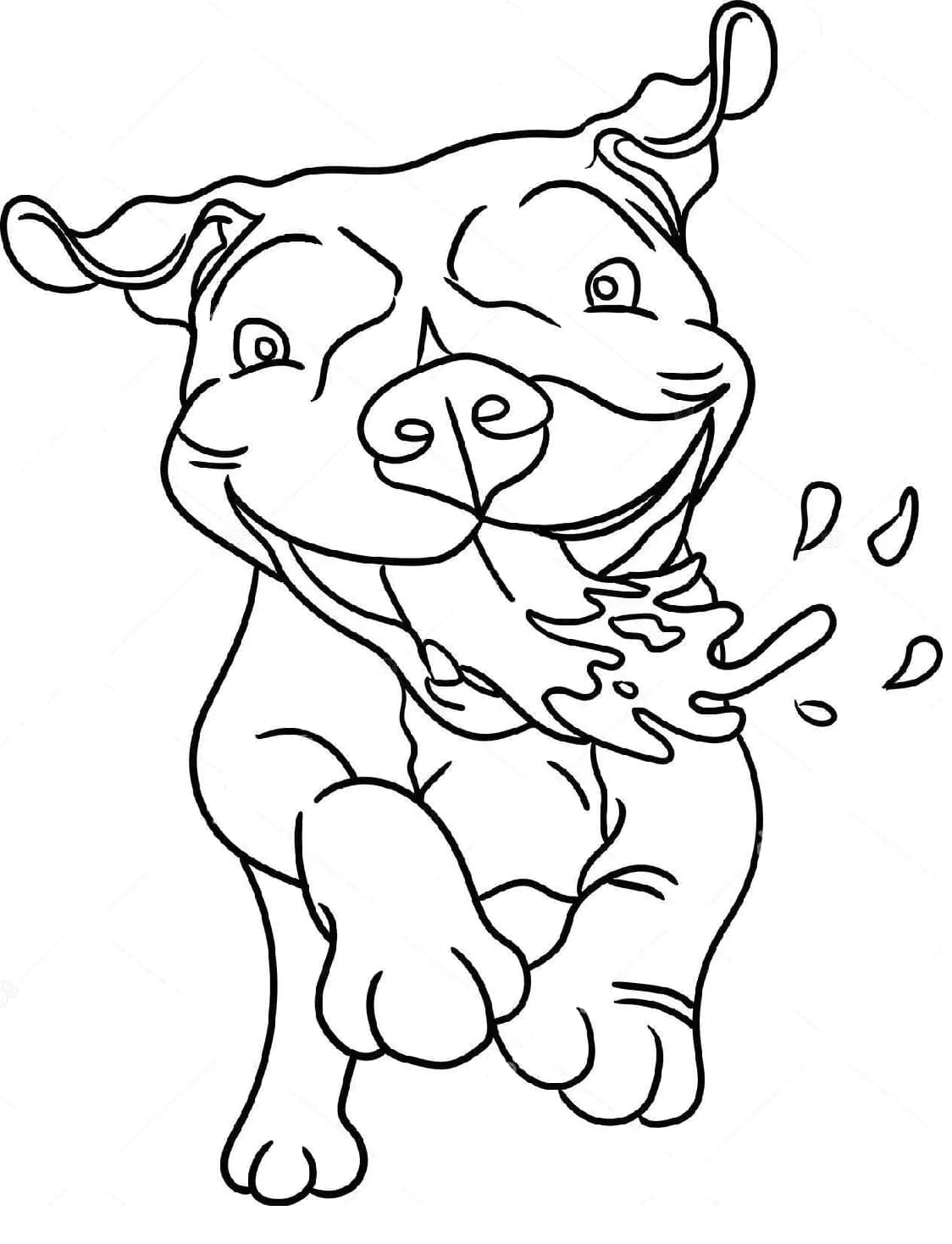 Very funny pitbull coloring page