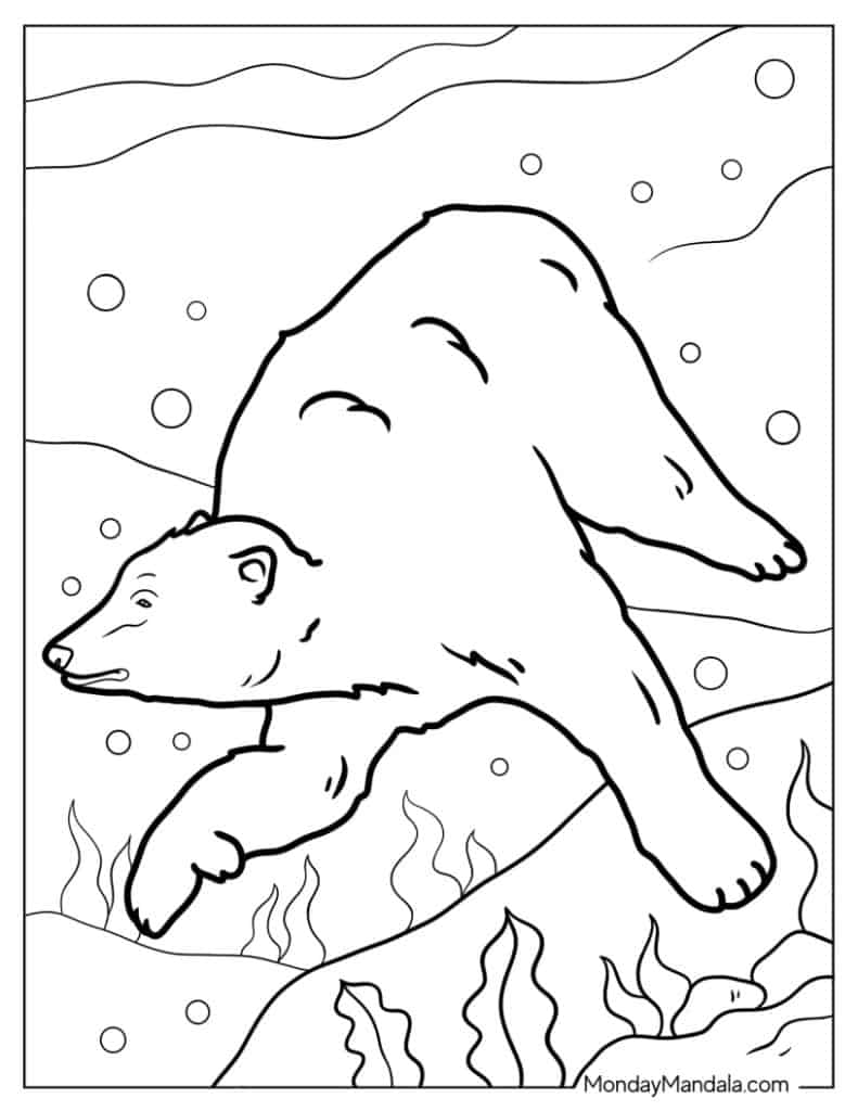 Polar bear coloring pages free pdf printables