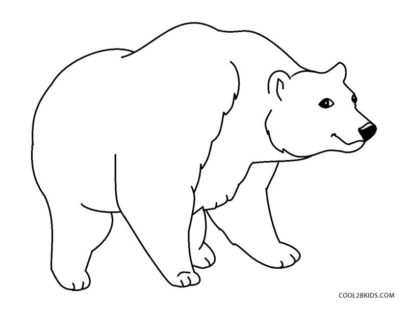 Coloring pages bear coloring pages realistic