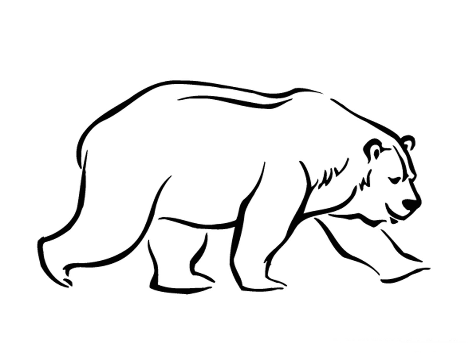 Free printable polar bear coloring pages for kids