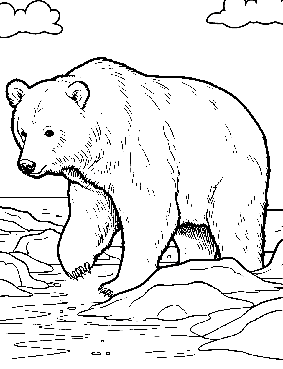 Bear coloring pages free printable sheets