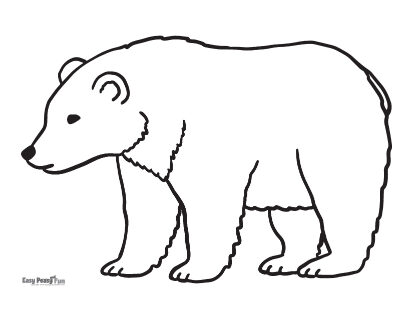 Bear coloring pages