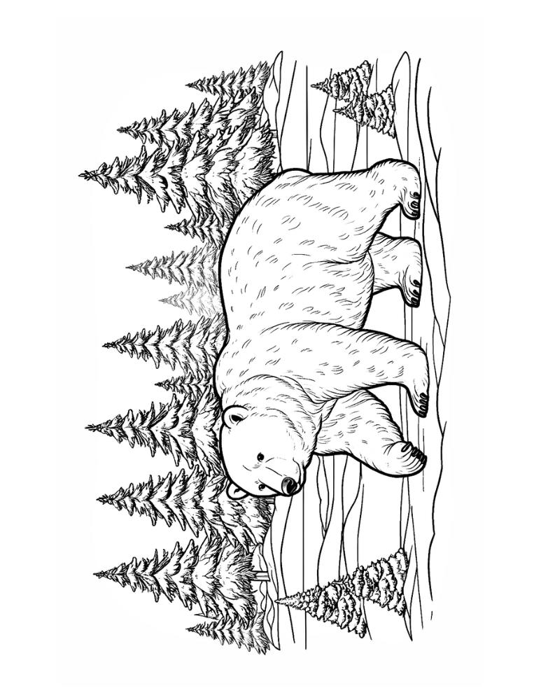 Free polar bear coloring pages for kids