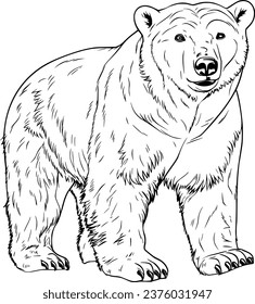 Polar bear book images stock photos d objects vectors