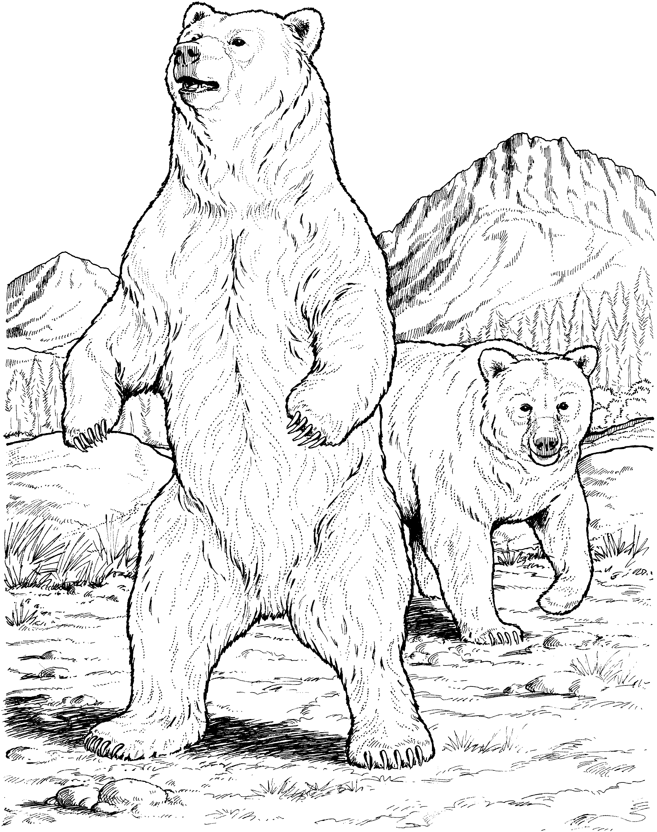 Free bear coloring pages