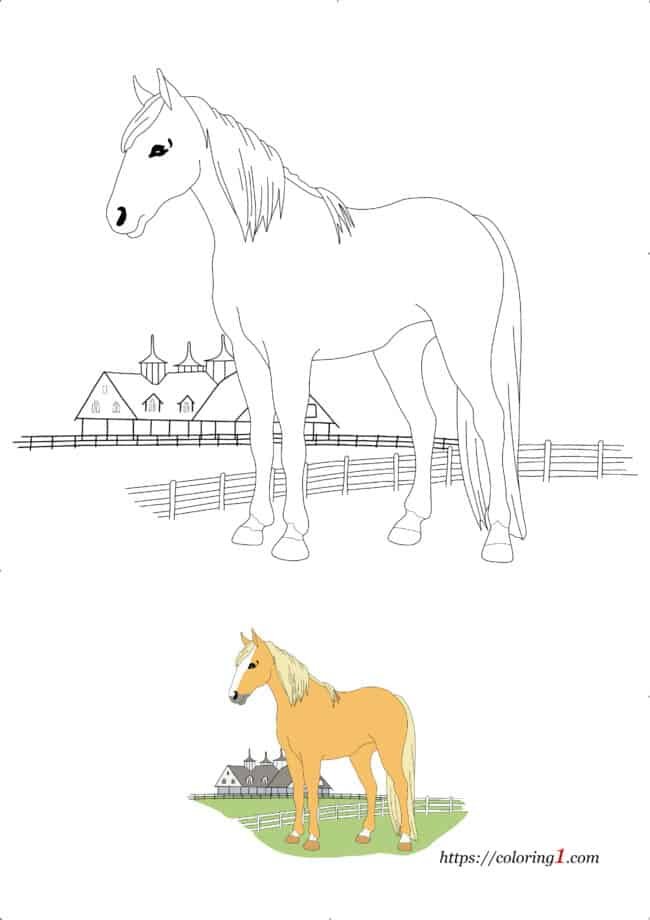 Horse coloring pages