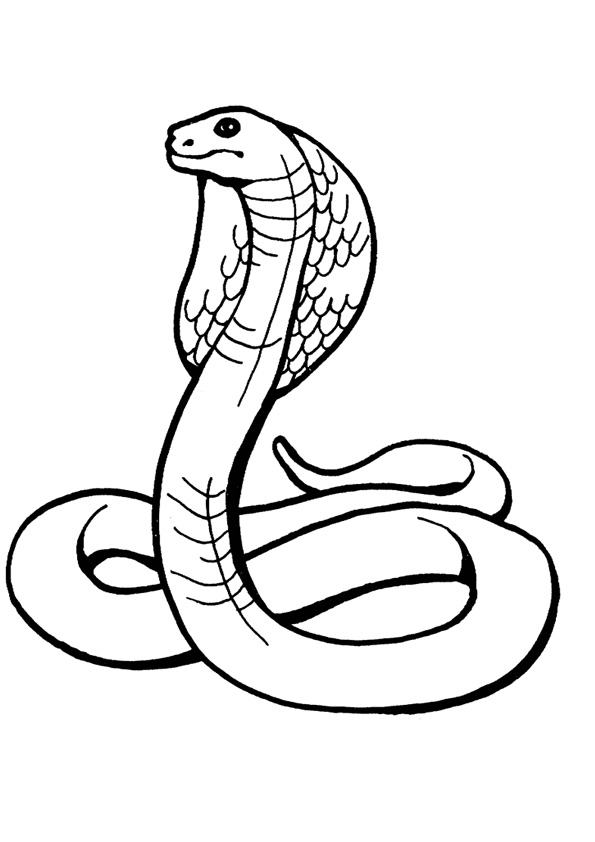 Coloring pages printable snake coloring pages