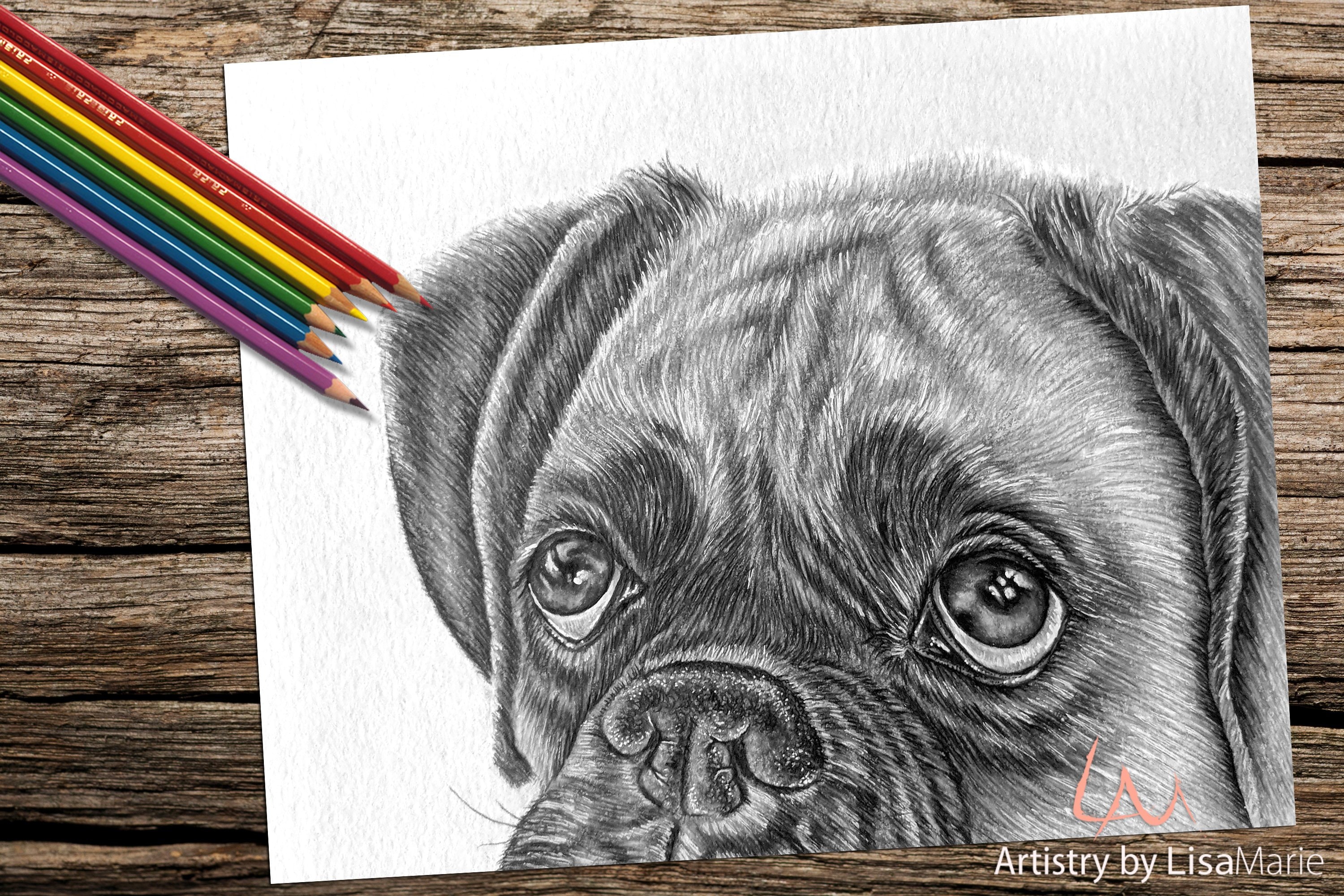 Pug dog coloring book page printable instant download adult coloring realistic grayscale art download now