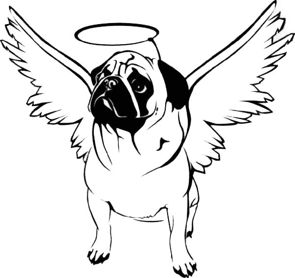 Pug coloring pages printable for free download