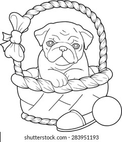 Pug coloring book images stock photos d objects vectors