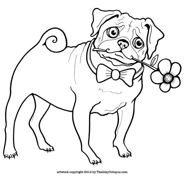 Pug coloring pages printable for free download