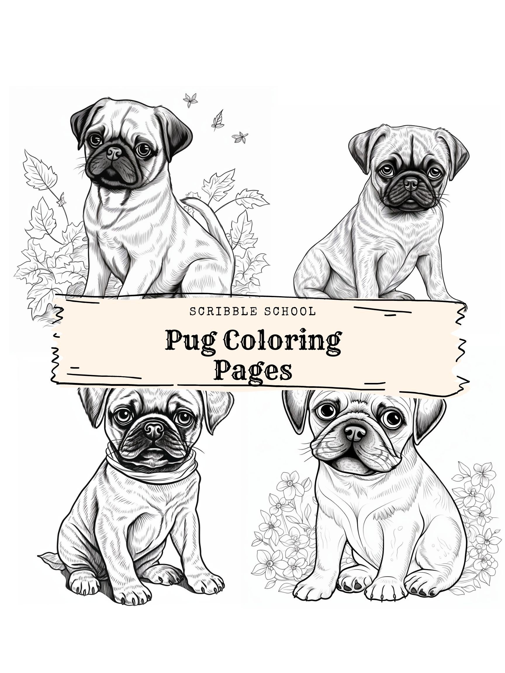 Pug coloring page