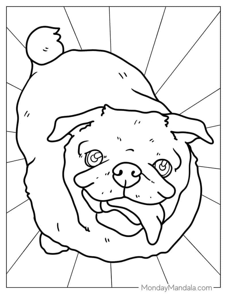 Pug coloring pages free pdf printables