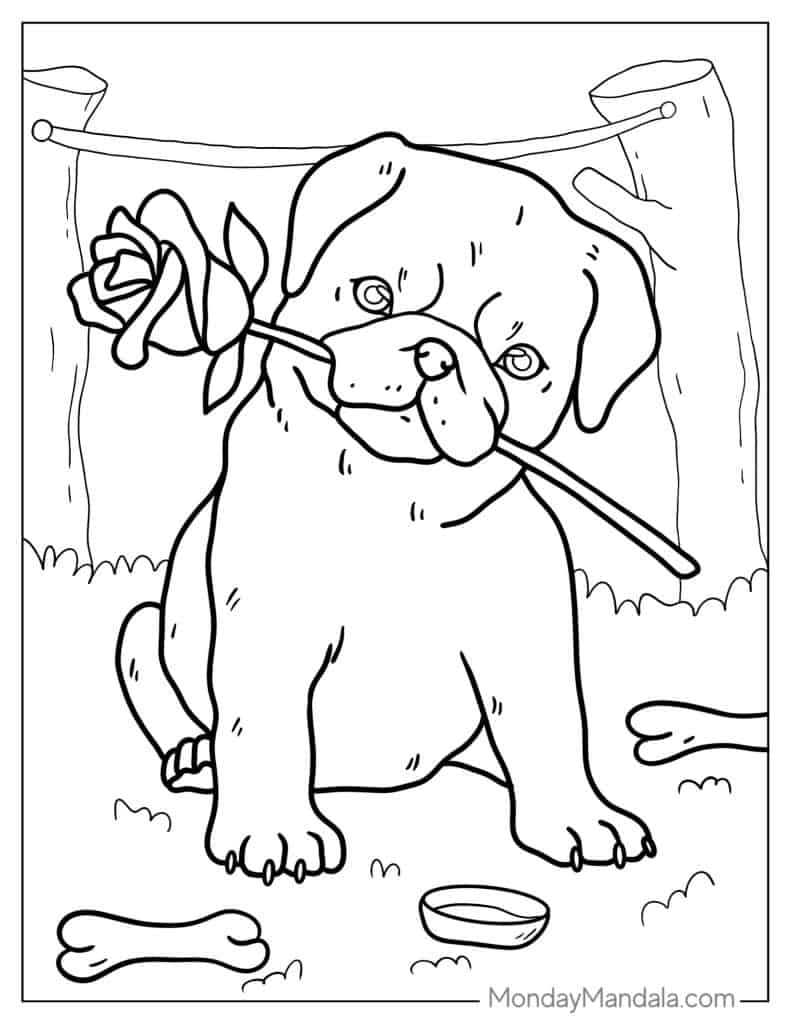 Pug coloring pages free pdf printables