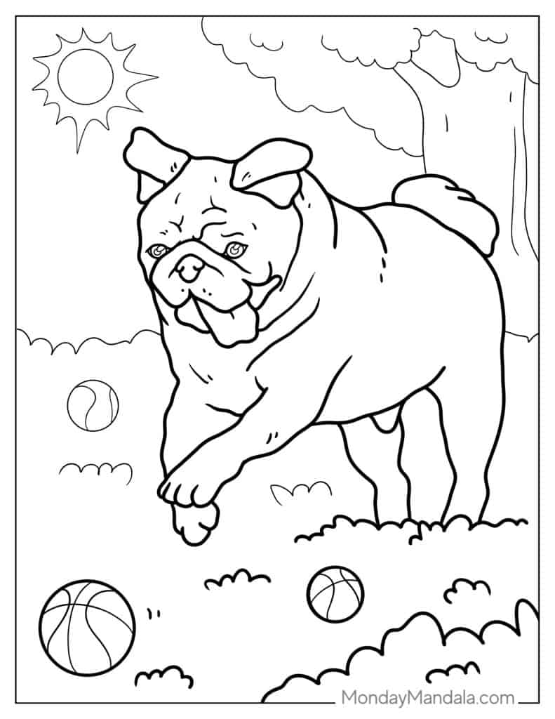 Pug coloring pages free pdf printables