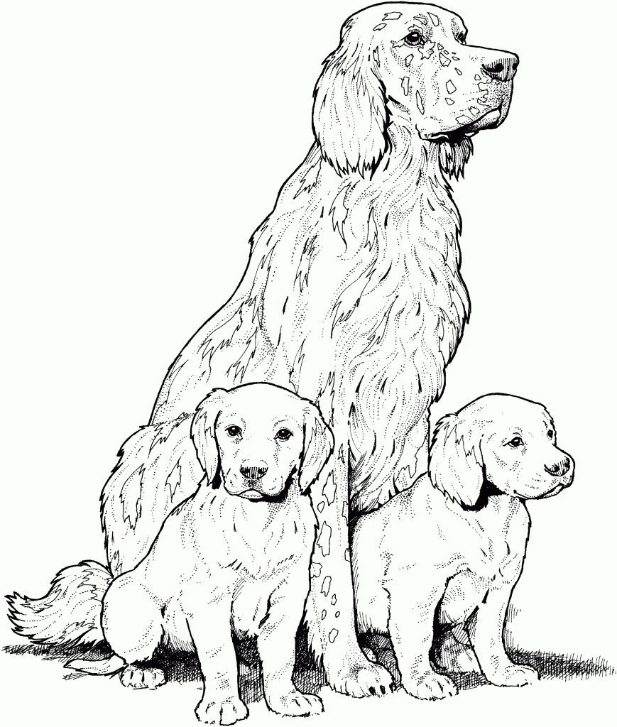 Dog coloring pages for adults