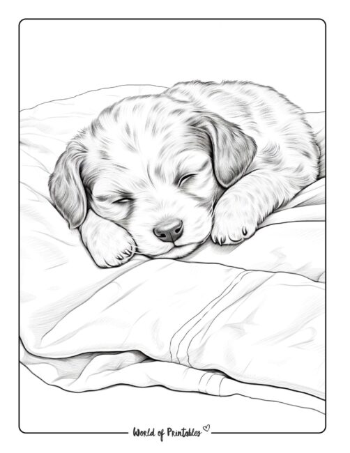 Puppy coloring pages